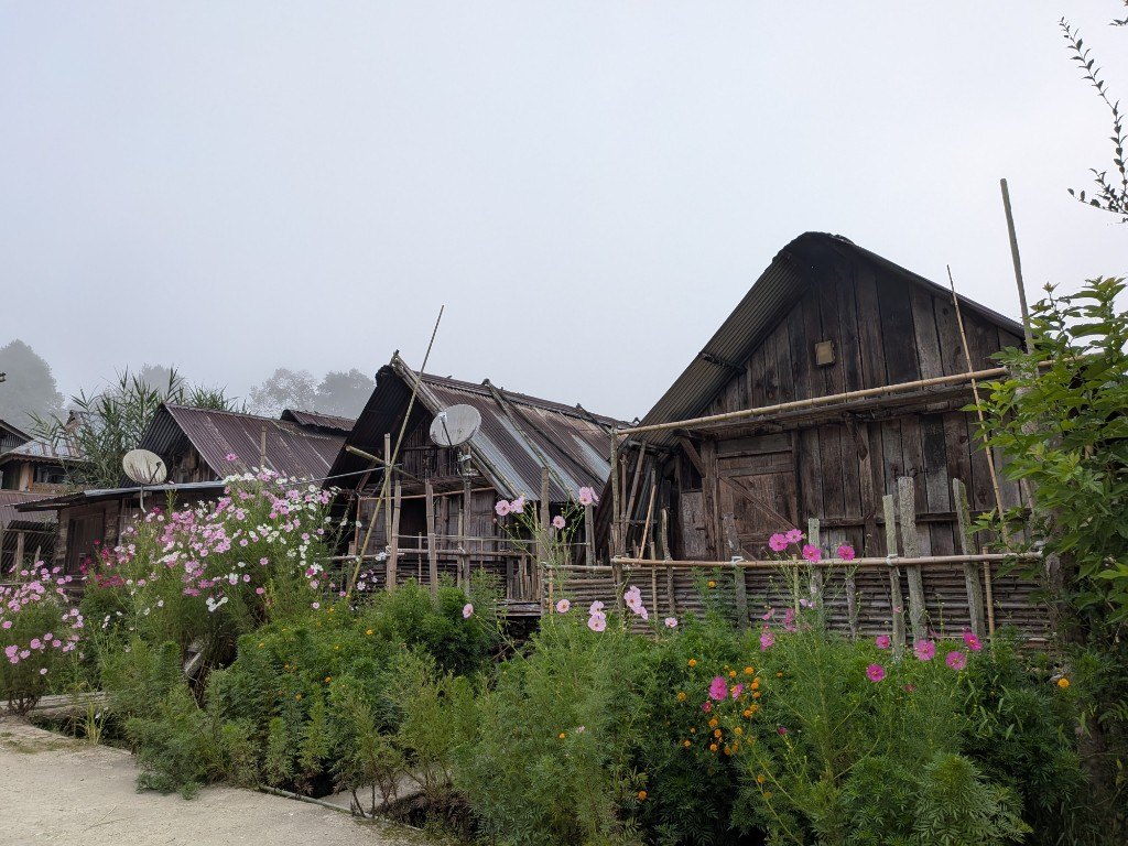 Wooden village houses in the mist, with cosmos and a bamboo fence along the lane